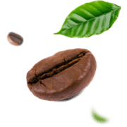 grano degustación formulario versión 2