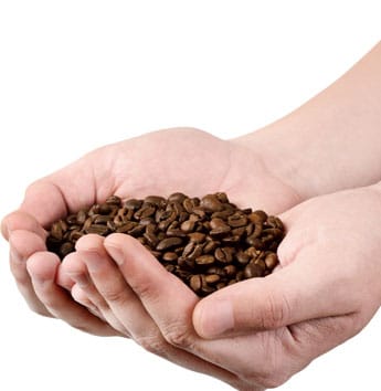 variedad café
